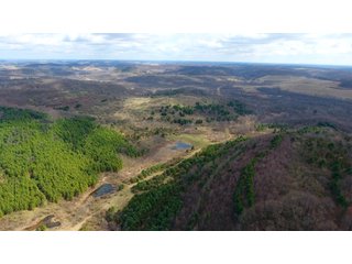 Property photo 26 - LAND AUCTION - 2,596+/- ACRES IN 28 TRACTS IN COSHOCTON & MUSKINGUM COUNTIES, OHIO